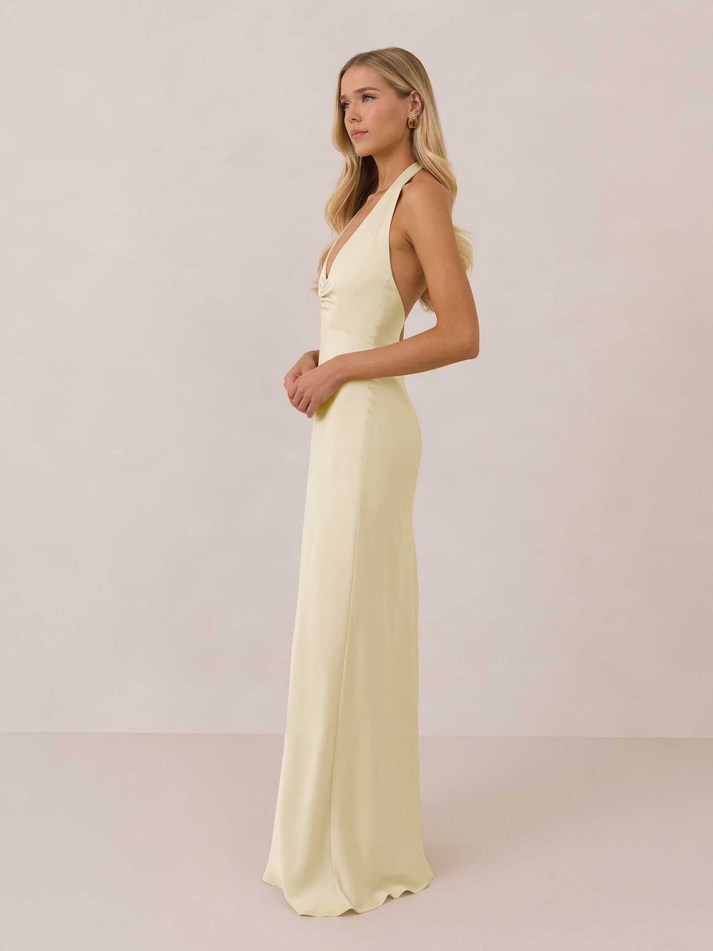 Elegant Dress