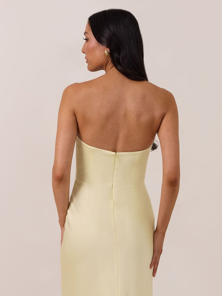 Elegant Dress