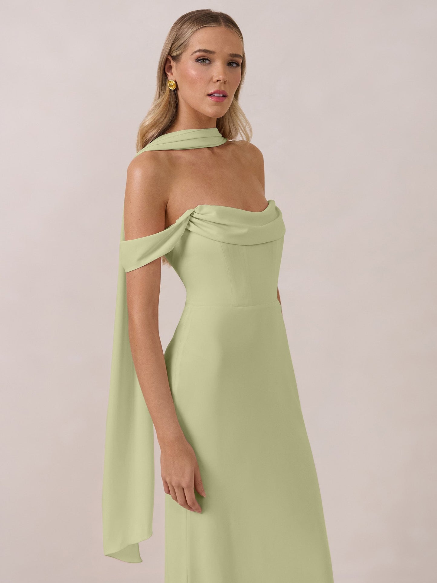 Elegant Dress