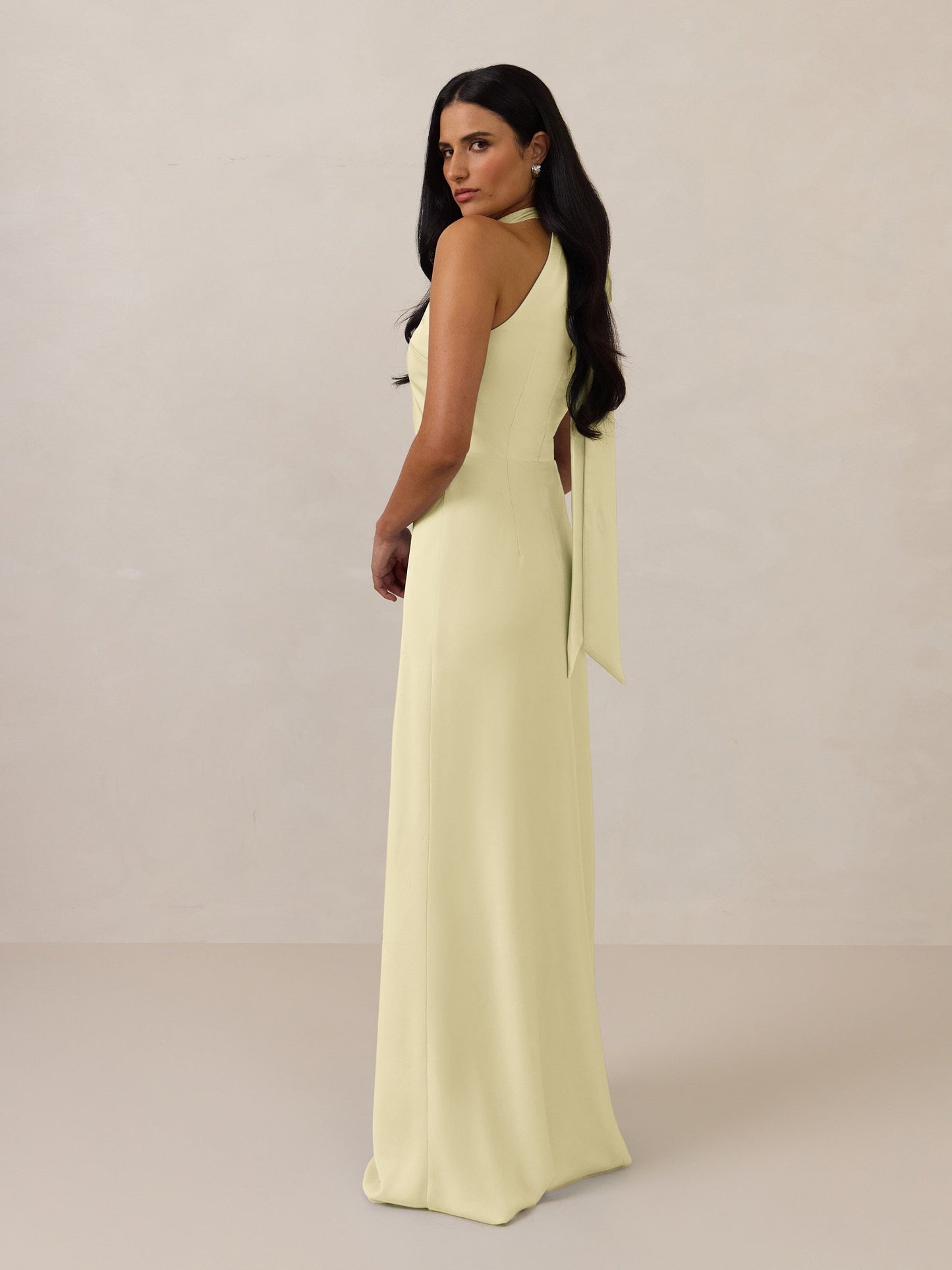 Elegant Dress