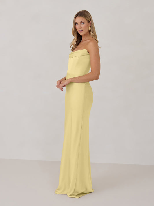 Elegant Dress