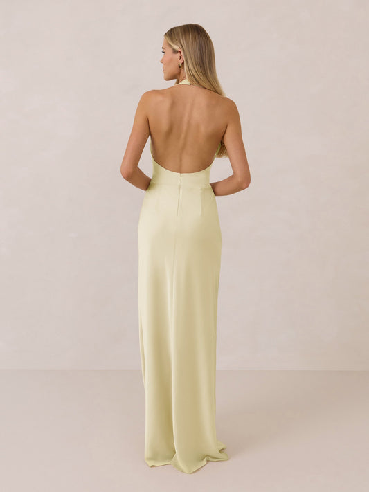 Elegant Dress