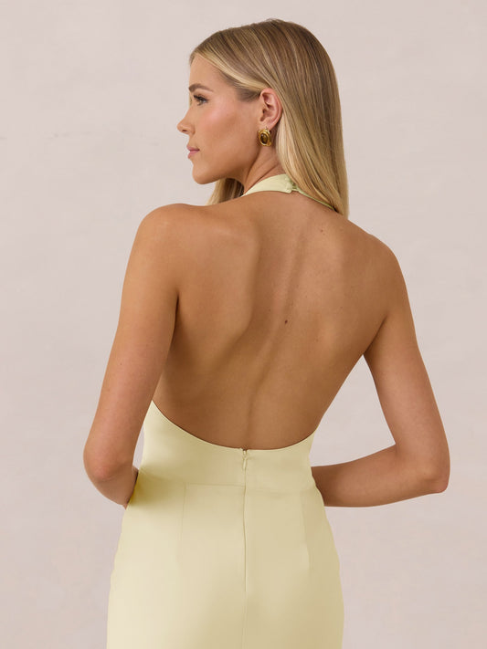 Elegant Dress