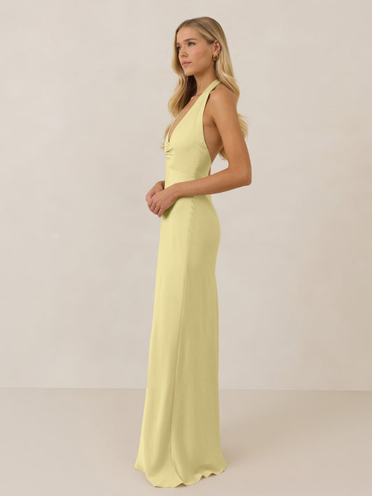 Elegant Dress