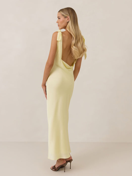 Elegant Dress