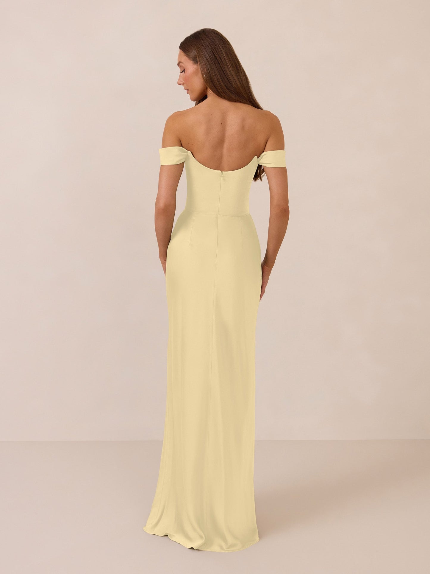 Elegant Dress