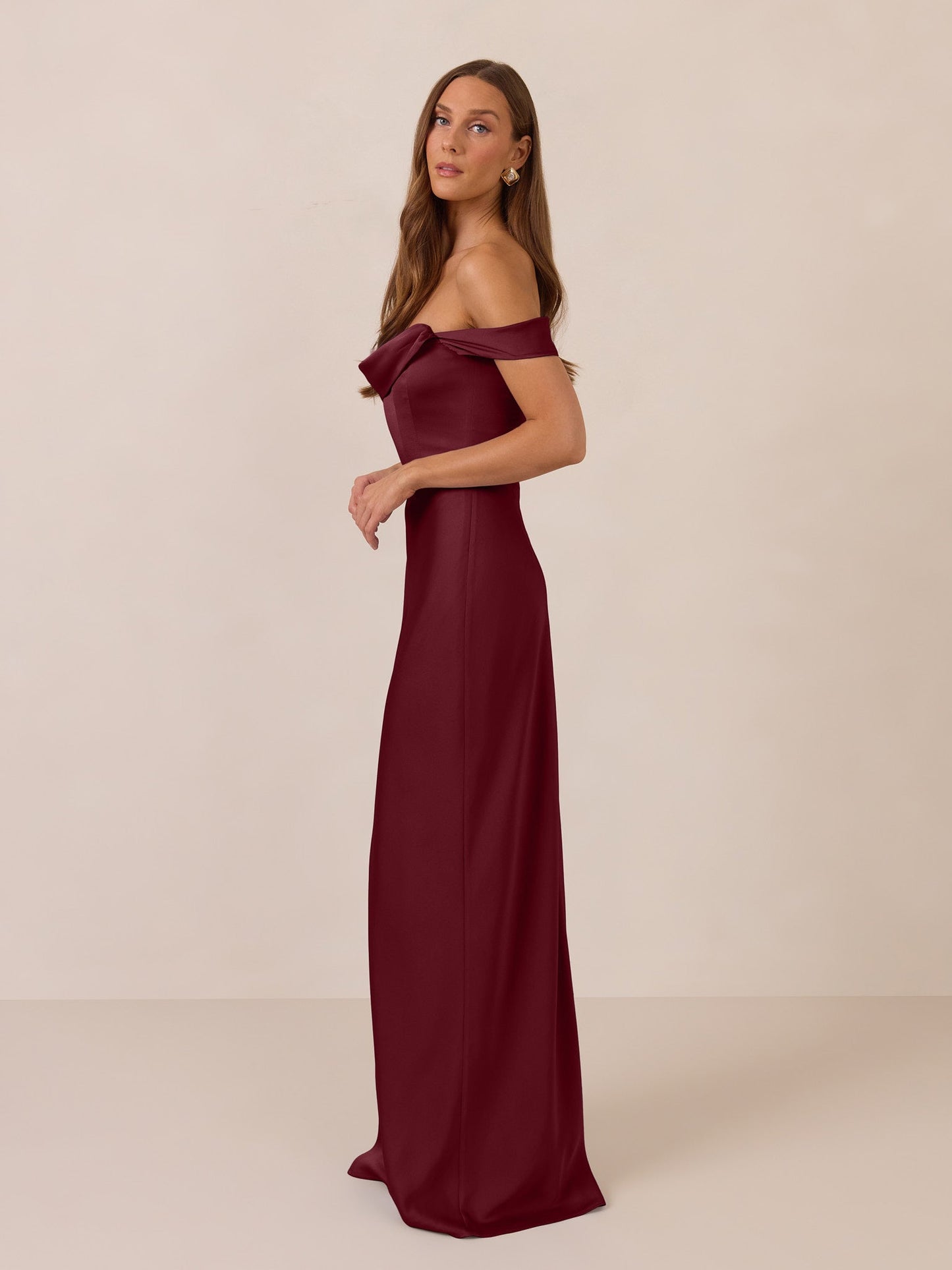 Elegant Dress