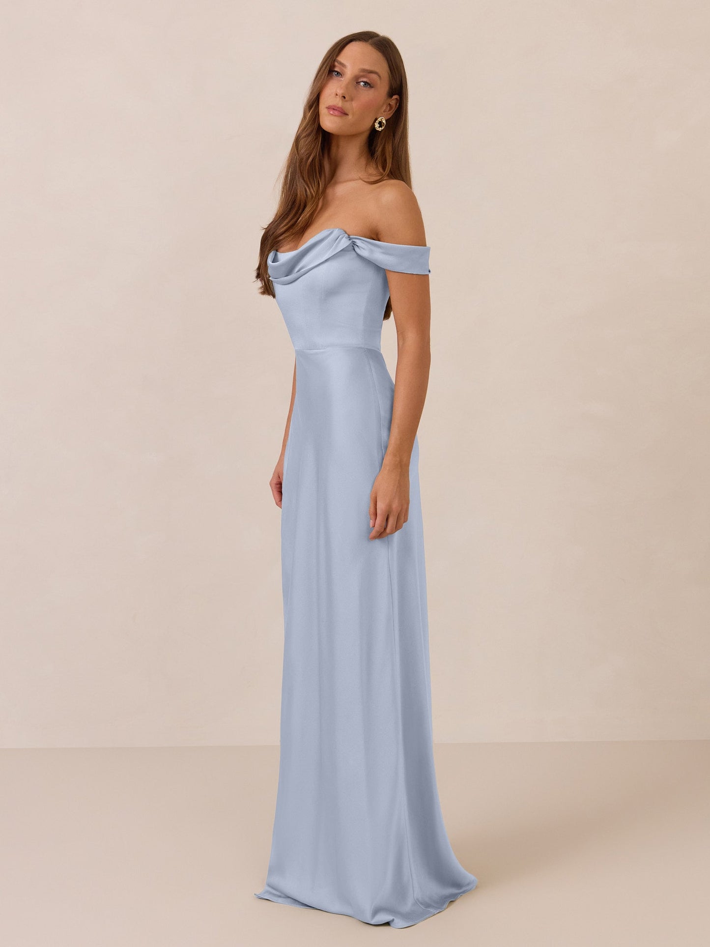Elegant Dress
