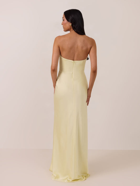 Elegant Dress
