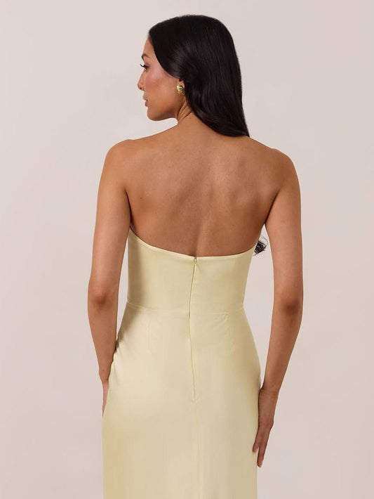 Elegant Dress