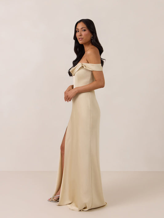 Elegant Dress