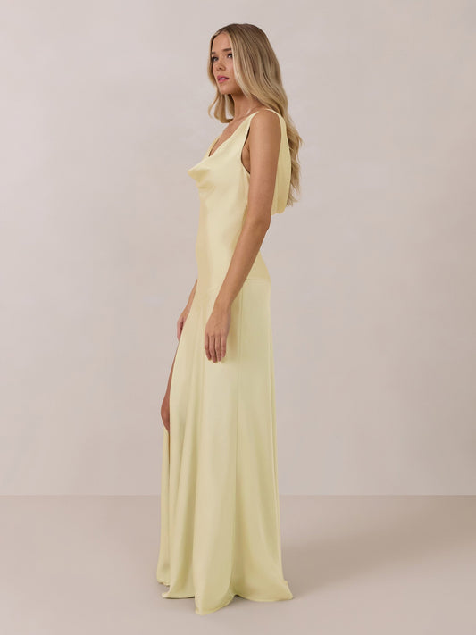 Elegant Dress