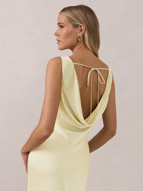 Elegant Dress