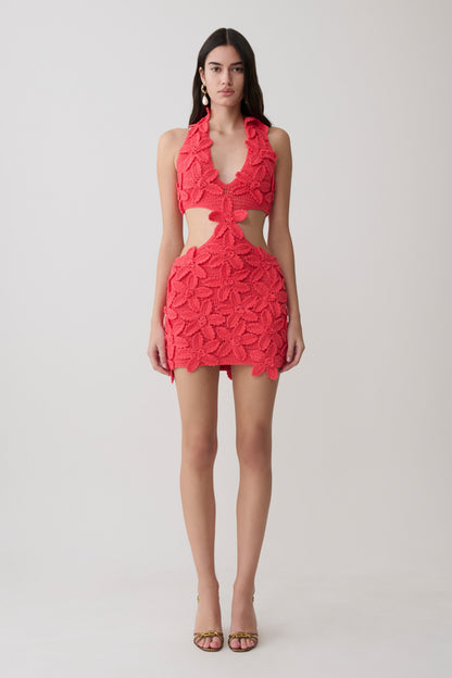 Jaylene Floral Crochet Mini Dress - Pomegranate