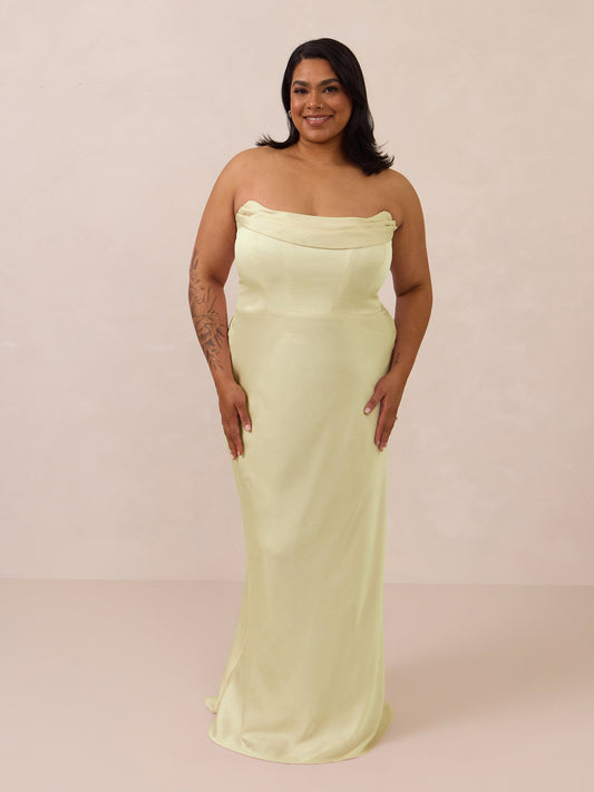 Elegant Dress