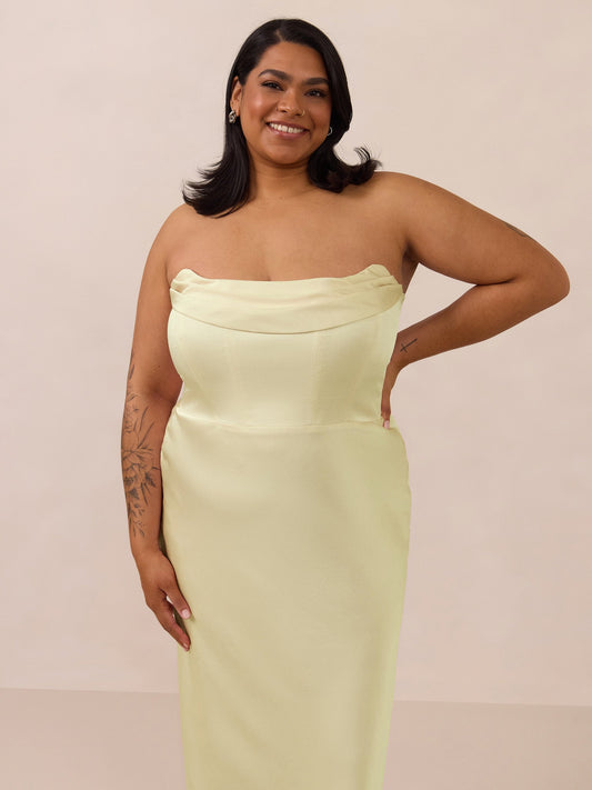 Elegant Dress
