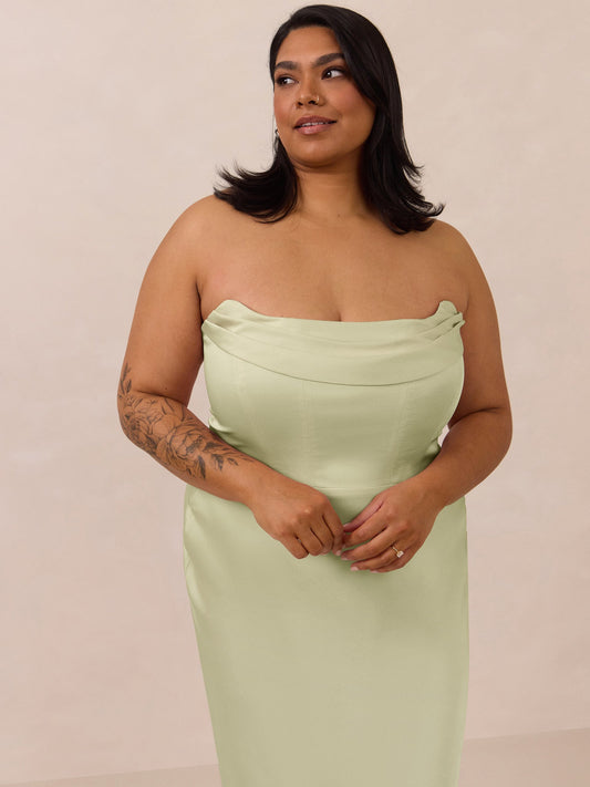 Elegant Dress