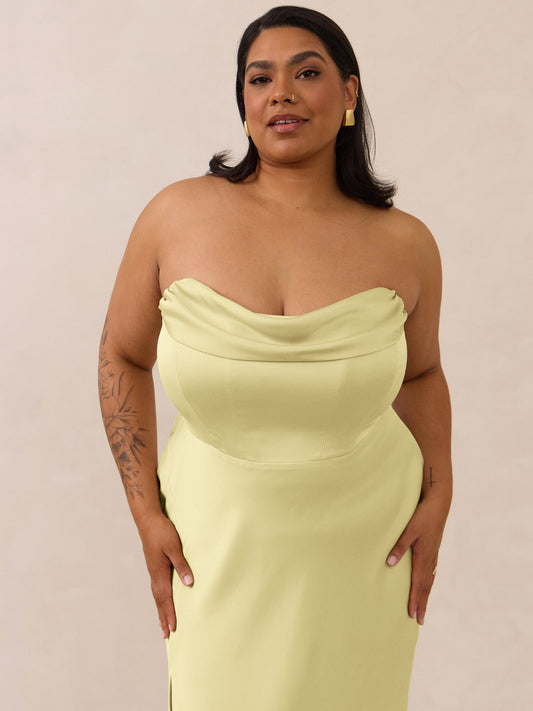 Elegant Dress