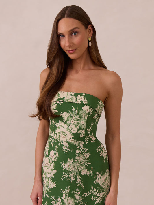 Elegant Dress