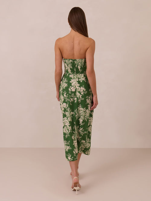 Elegant Dress