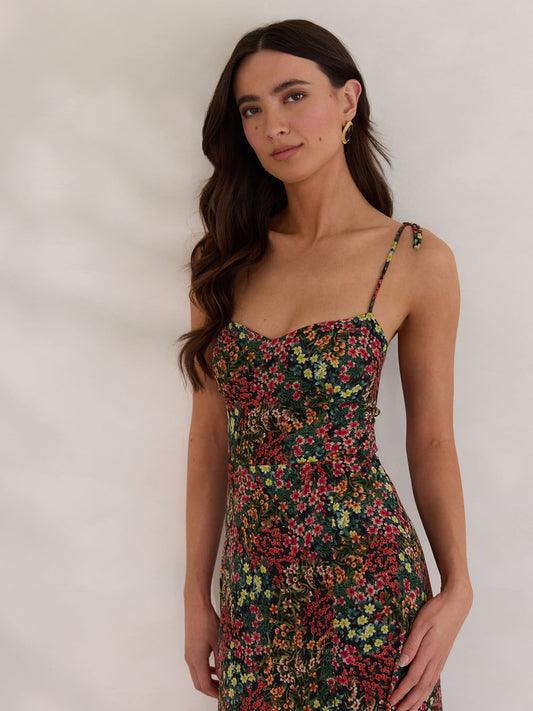 Elegant Dress